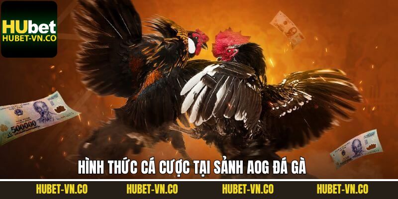 Danh sách những hình thức đang được ưa chuộng tại AOG đá gà