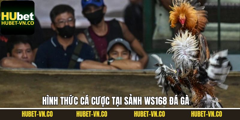 Ws168 đá gà mang đến đa dạng hình thức giải trí