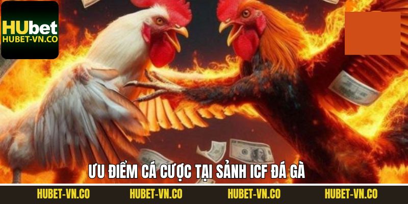 Các ưu điểm nổi trội khi tham gia vào sảnh ICF đá gà